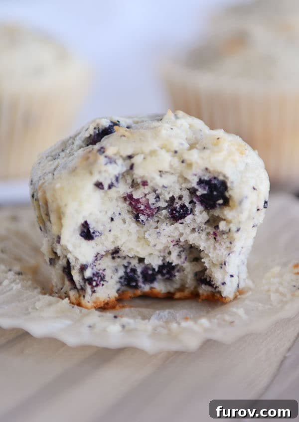 An unwrapped blueberry cream cheese muffin, revealing its soft interior and juicy blueberries after a bite has been taken.