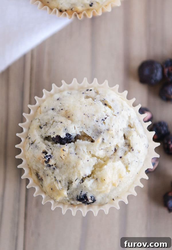 A top-down view of a blueberry cream cheese muffin in its liner, surrounded by fresh, vibrant blueberries.