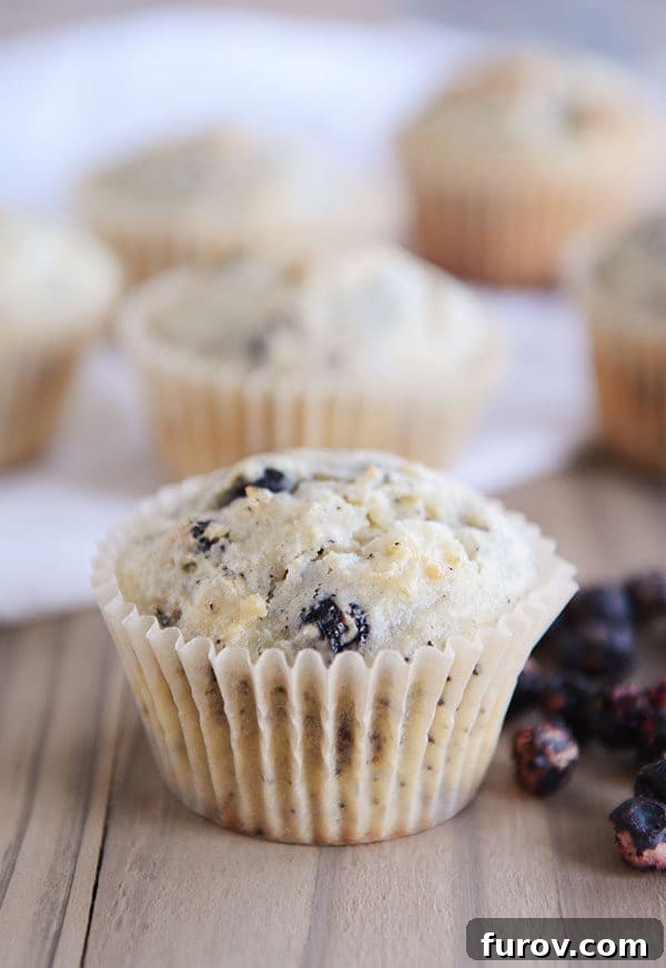 A cluster of golden-brown blueberry cream cheese muffins in white liners, with fresh blueberries scattered nearby.