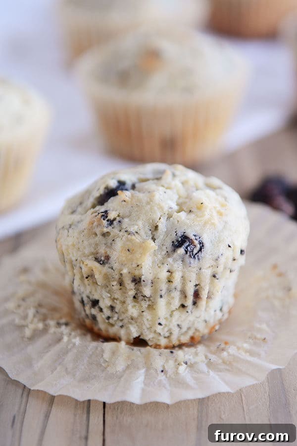 An unwrapped blueberry cream cheese muffin resting on its white paper liner, showcasing its inviting texture and golden hue.