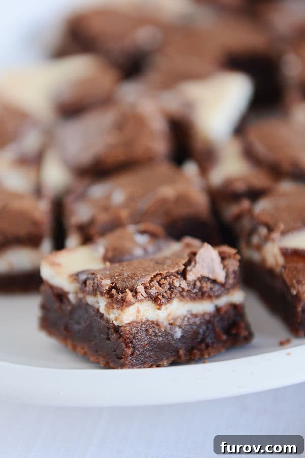 A white plate of layered cream cheese and chocolate brownies.