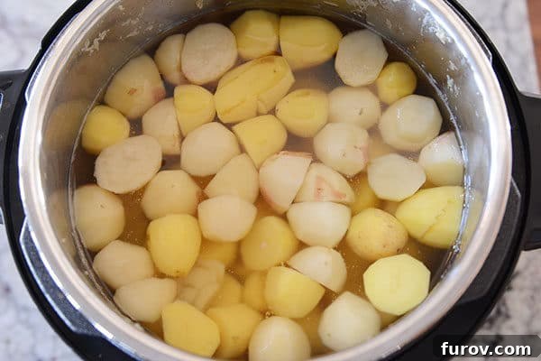 Cut up potatoes immersed in water in an Instant Pot, ready to cook. 
