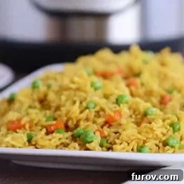 A small image of Instant Pot Indian Vegetable Rice
