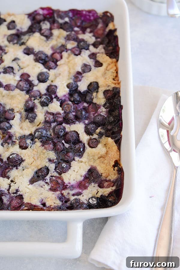Top view of a white baking dish filled with golden-brown blueberry dump cake, garnished with fresh blueberries.