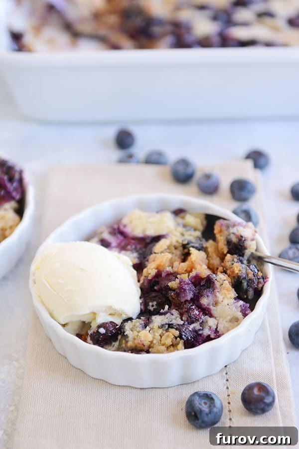 A white ramekin serving of blueberry dump cake topped with a scoop of vanilla ice cream.