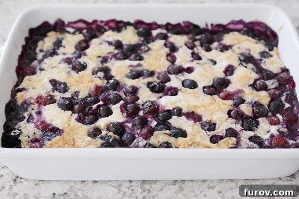 A freshly baked blueberry dump cake in a white ceramic baking dish, golden and bubbly.