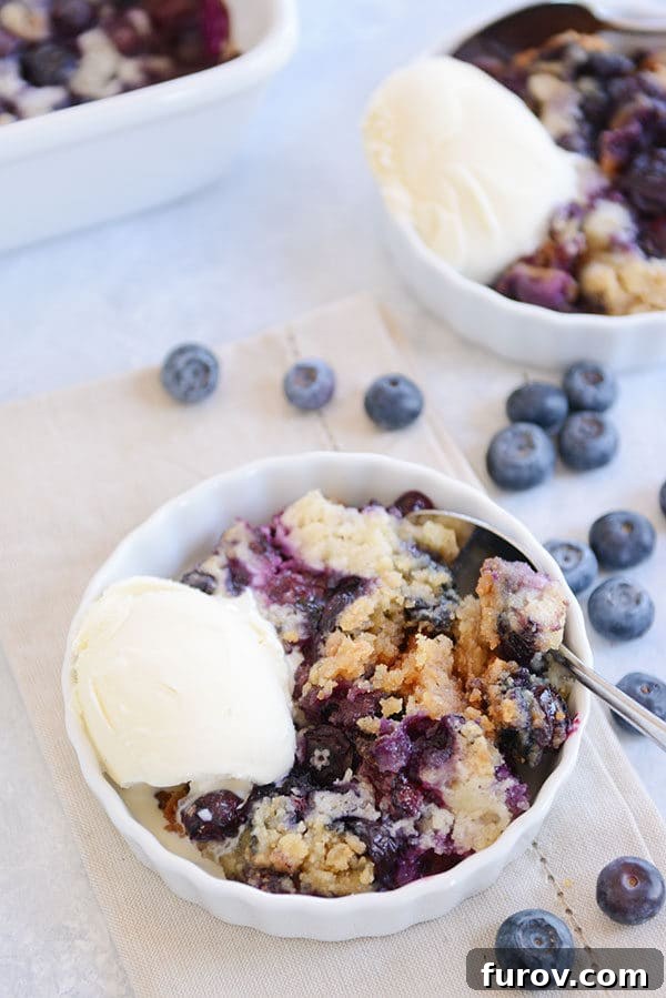 White ramekins filled with blueberry dump cake, garnished with fresh blueberries and a side of vanilla ice cream.