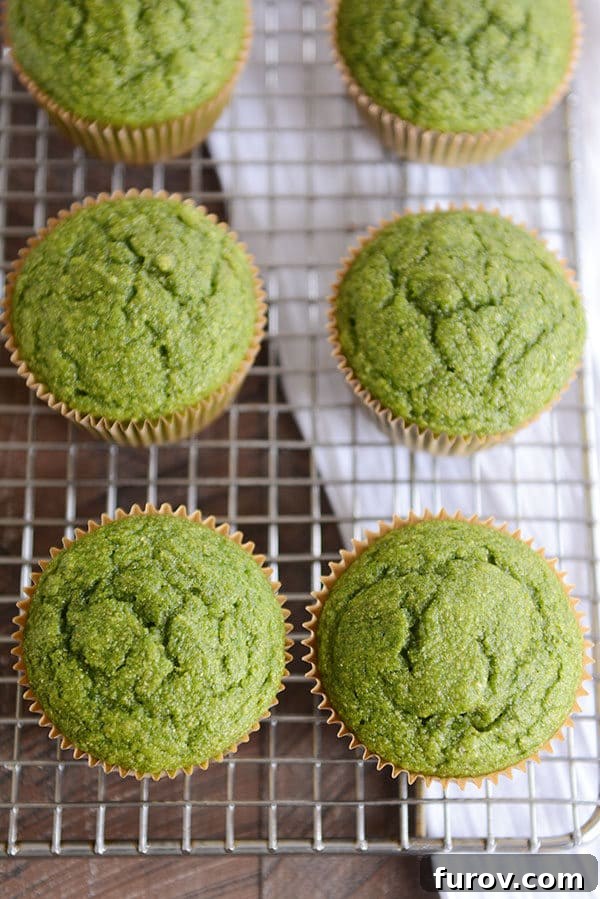 Top down view of six green muffins on cooling rack.