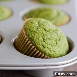 Whole grain green muffin tipped halfway in muffin tin.