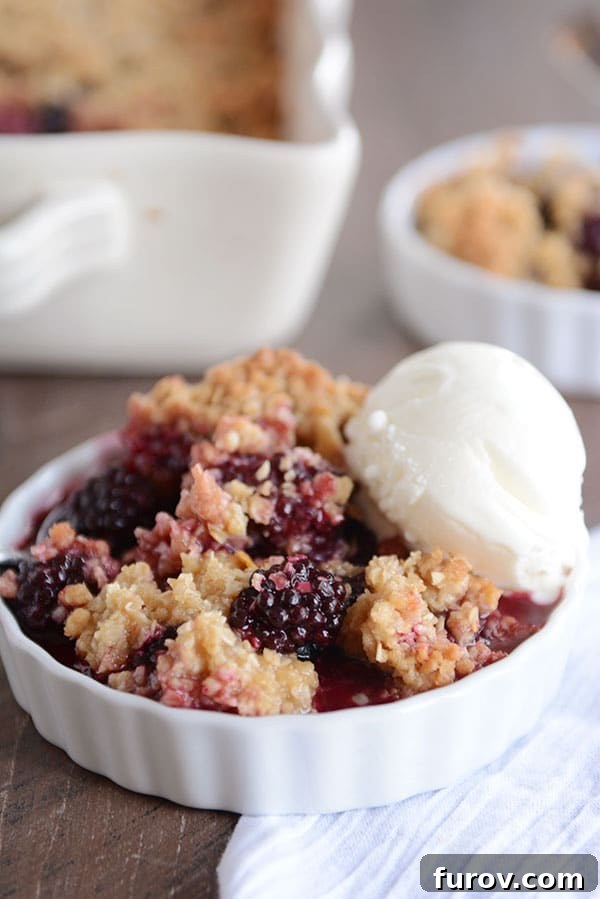 Simply The Best Berry Crisp Versatile and Delicious 2 A white dish of blackberry-studded fruit crisp, with a scoop of vanilla ice cream on the side, ready to be served.
