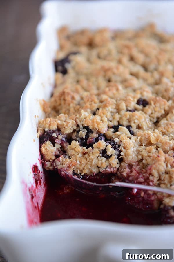 Simply The Best Berry Crisp Versatile and Delicious 3 A spoon scooping out a bite of baked, blackberry fruit crisp from a white dish, showing the juicy fruit and crunchy topping.