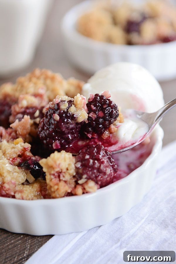 Simply The Best Berry Crisp Versatile and Delicious 5 A white dish of blackberry-studded fruit crisp, with a scoop of vanilla ice cream on the side and a spoon taking out a bite.