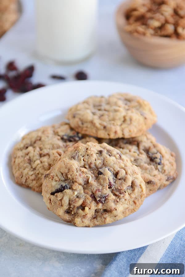 A white plate adorned with four perfectly baked granola chocolate chip cookies, each hinting at the rich flavors within.