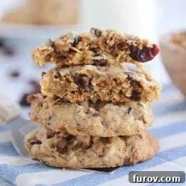 Chewy Granola Cookies