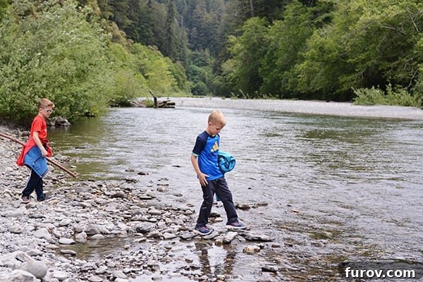 Effortless Wonders: Your Relaxed Guide to the Redwood Giants 15 Two young boys joyfully play by a rocky creek, surrounded by the serene beauty of the Redwood forest.