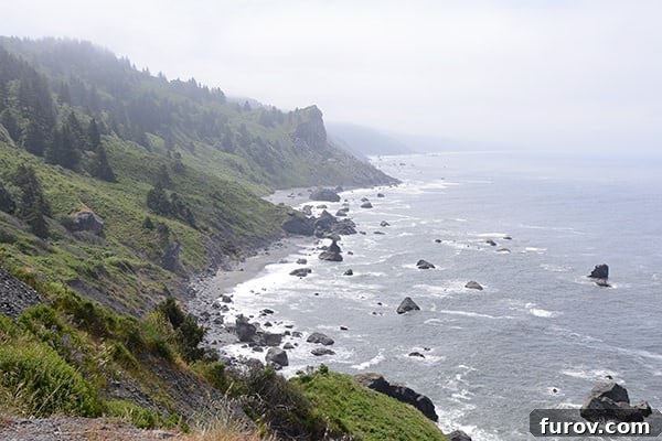 Effortless Wonders: Your Relaxed Guide to the Redwood Giants 22 A dramatic coastline where rugged cliffs meet the powerful waves of the Pacific Ocean, framed by coastal vegetation.