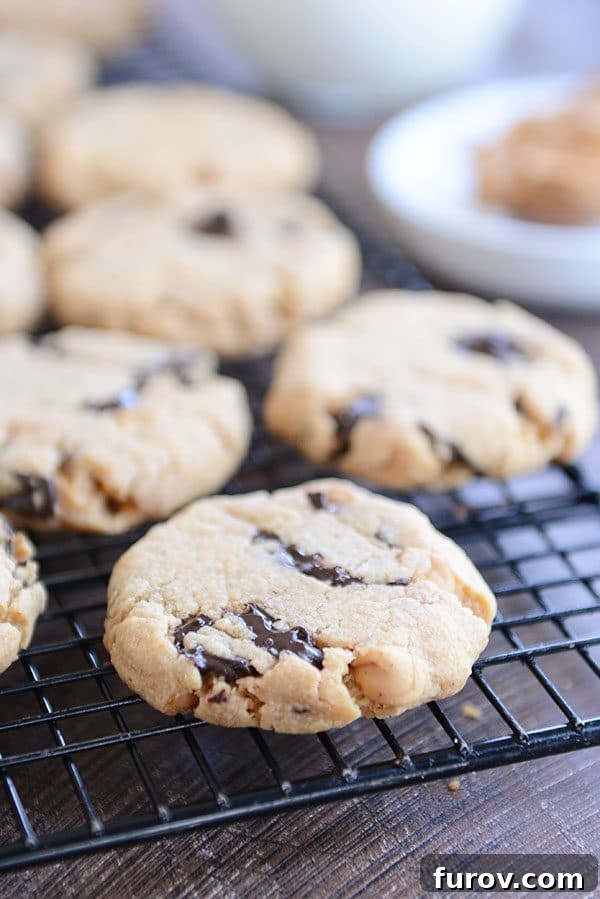 Velvety Soft Egg Free Peanut Butter Chocolate Chip Cookies 5 Peanut butter chocolate chip cookies on a metal cooling rack.