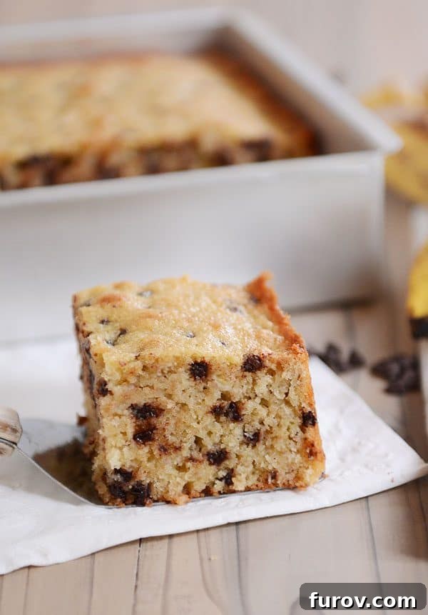 A square piece of banana chocolate chip cake sitting on a napkin.