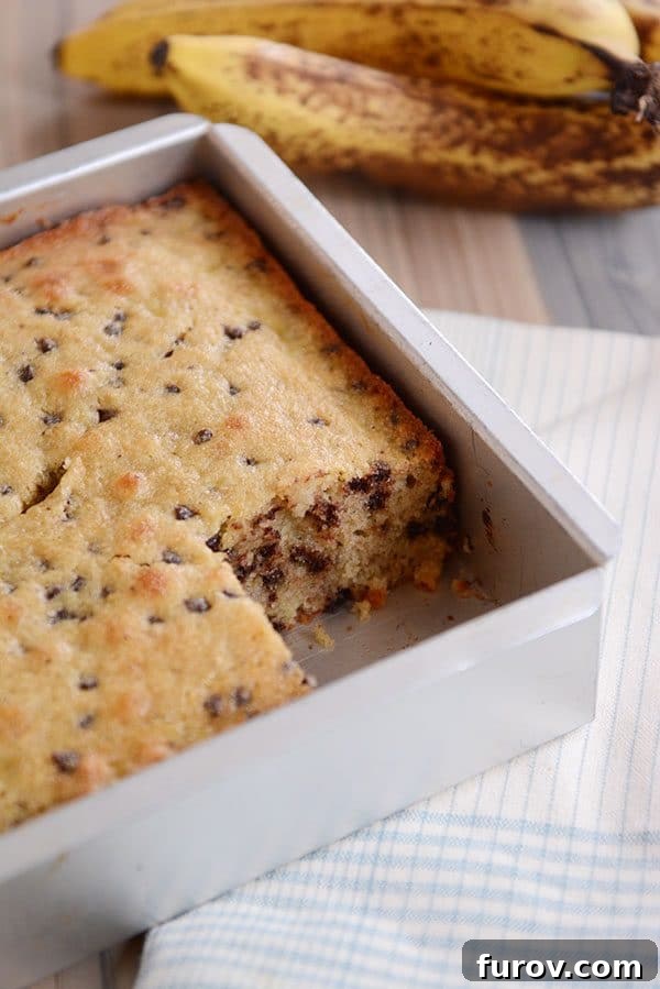 A metal pan of banana chocolate chip snack cake with one piece taken out.