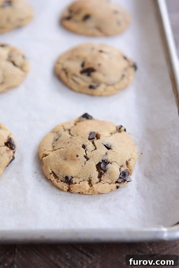 Baked chocolate chip cookies on a parchment-lined cookie sheet, golden brown and inviting.