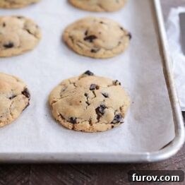 Delicious Soft and Chewy Chocolate Chip Cookies