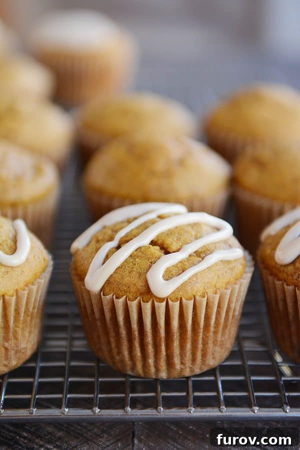 Golden-brown pumpkin muffins, artfully drizzled with maple syrup, cooling on a wire rack.