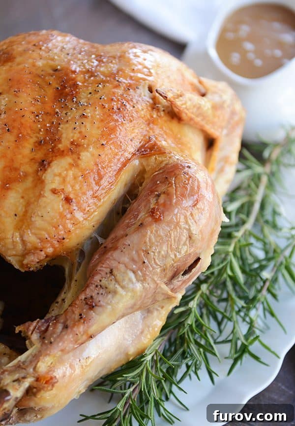 Juicy & Golden Thanksgiving Turkey in an Oven Roasting Bag 2 A large golden brown roasted turkey, ready for carving.