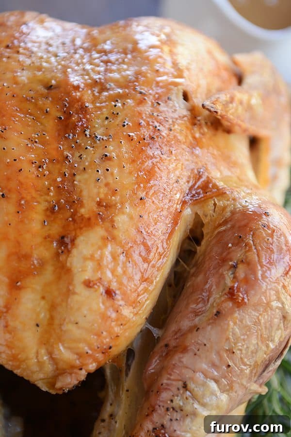Juicy & Golden Thanksgiving Turkey in an Oven Roasting Bag 6 A golden brown roasted turkey, perfectly cooked and glistening, presented beautifully.