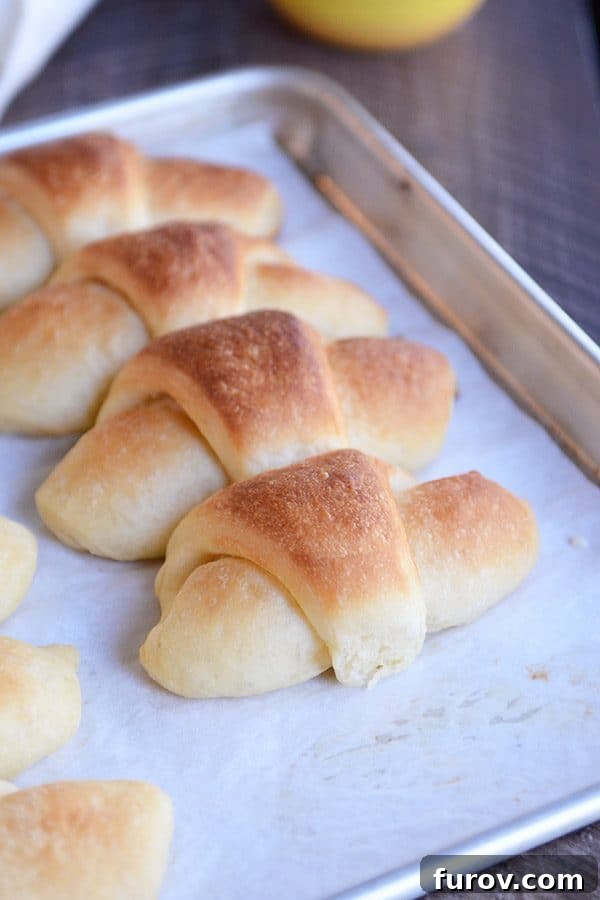 A cookie sheet of baked crescent rolls, golden brown and glistening with butter.