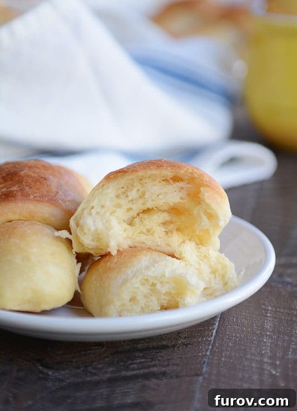 A golden crescent roll split in half on a white plate, revealing its soft, flaky interior.