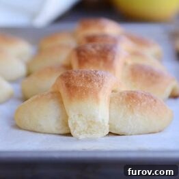Super Easy Buttery, Flaky Overnight Dinner Rolls {No Kneading/No Stand Mixer}