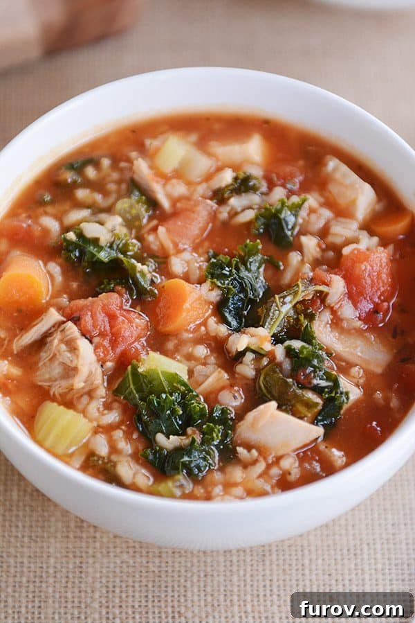 Turkey & Chicken Brown Rice Soup: Pressure Cooker & Stove Top Ready 3 Top view of a white bowl of turkey and brown rice soup.
