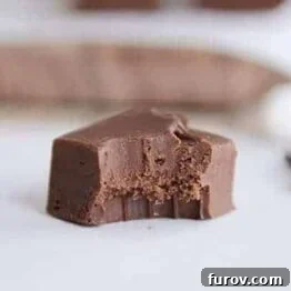 Easiest-Ever Fudge {Tons of Add-In Options}