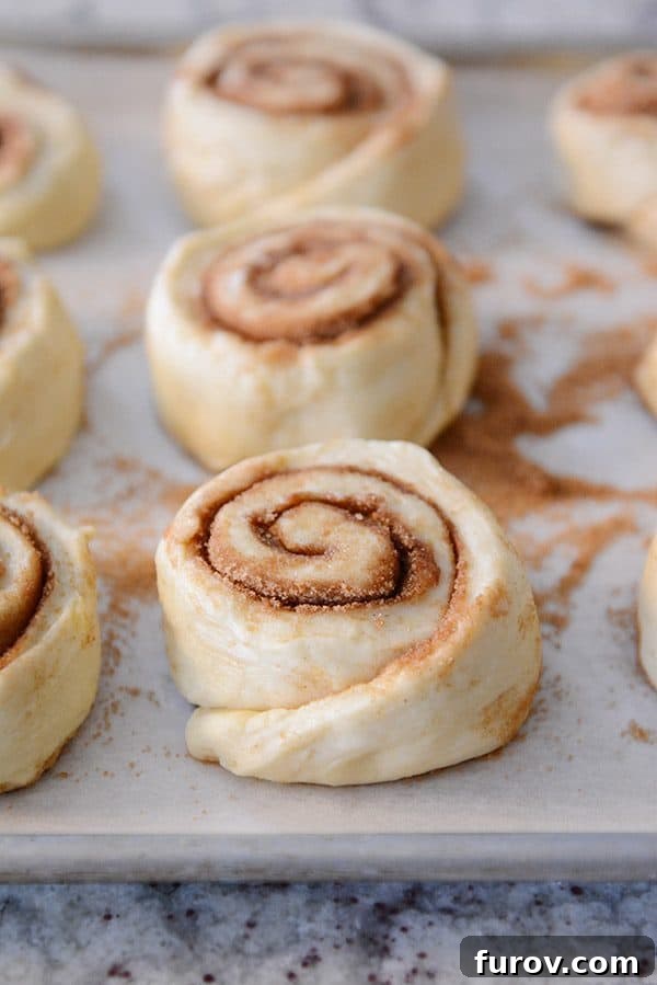 Uncooked cinnamon rolls arranged neatly on a parchment-lined baking sheet, meticulously prepared and ready for their second rise.