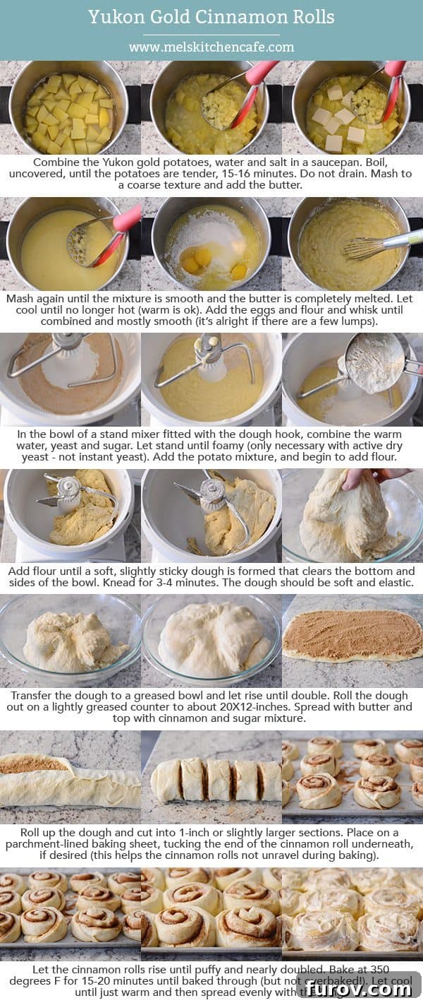 Step-by-step tutorial images demonstrating how to prepare Yukon Gold cinnamon rolls, from mixing the dough to precisely shaping and rolling them.