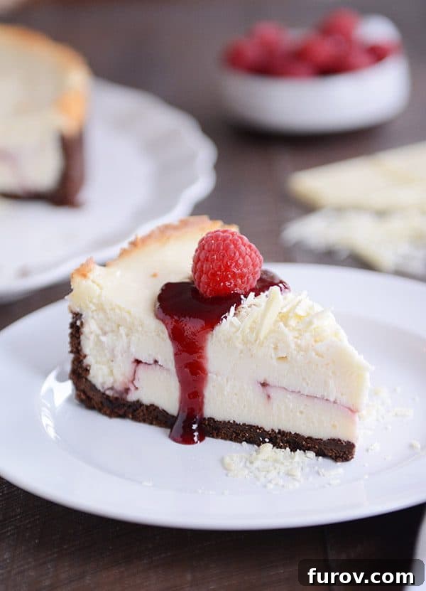 Velvet White Chocolate Raspberry Truffle Cheesecake 2 A perfectly sliced piece of white chocolate raspberry truffle cheesecake on a white plate, showcasing its creamy layers and raspberry swirl.