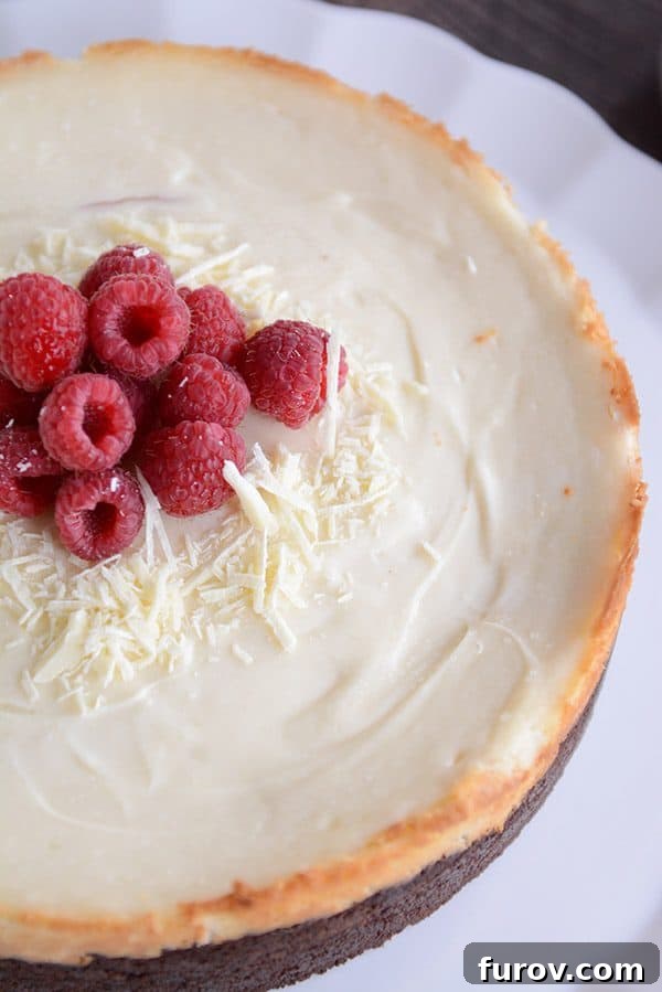 Velvet White Chocolate Raspberry Truffle Cheesecake 3 A stunning top-down view of a full white chocolate raspberry truffle cheesecake, elegantly garnished with fresh raspberries.