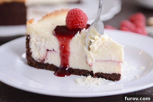Velvet White Chocolate Raspberry Truffle Cheesecake 4 A fork taking a luxurious bite out of a slice of White Chocolate Raspberry Truffle Cheesecake, revealing its creamy texture and raspberry swirl.