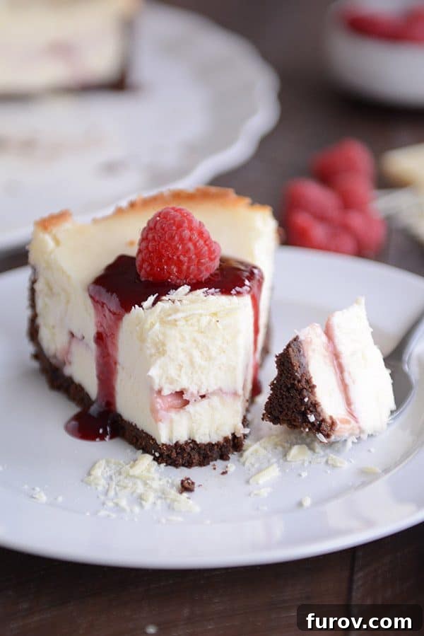 Velvet White Chocolate Raspberry Truffle Cheesecake 5 A close-up of a fork piercing a slice of the delectable white chocolate raspberry truffle cheesecake, emphasizing its smooth and inviting layers.