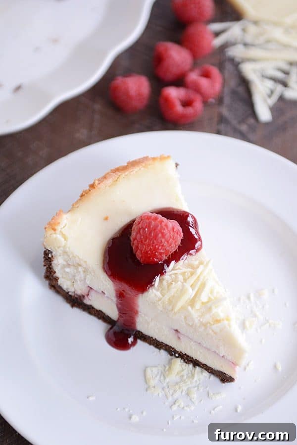 Velvet White Chocolate Raspberry Truffle Cheesecake 7 An artfully presented slice of white chocolate cheesecake, drizzled with raspberry sauce and crowned with a single fresh raspberry.