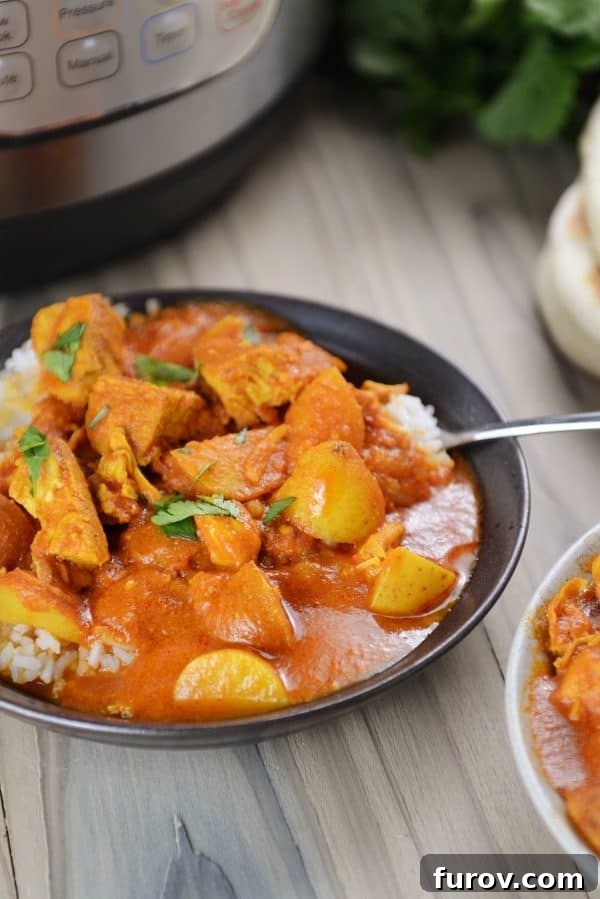 A dark bowl of tender chicken and potato curry served over fluffy white rice, ready to be enjoyed.