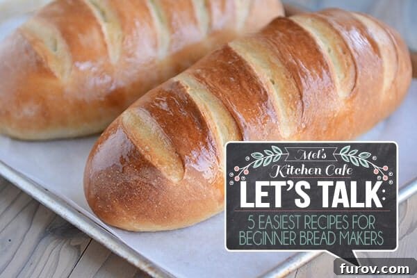 Best Bread Recipes for Beginners - Assortment of Freshly Baked Breads