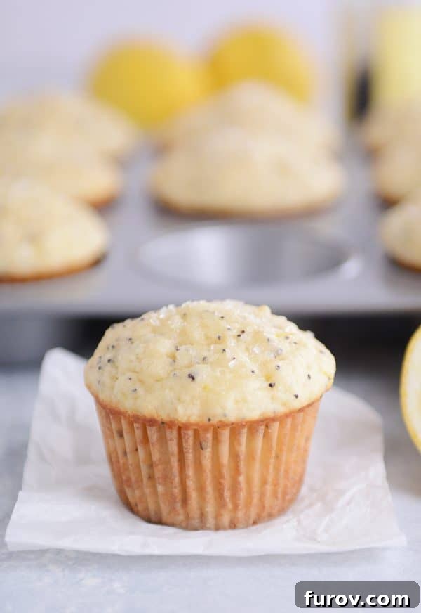 Divine Lemon Poppy Seed Muffins 2 A coarse sugar-topped lemon poppy seed muffin with a piece of parchment.