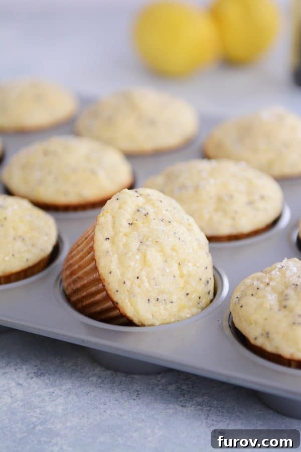 Divine Lemon Poppy Seed Muffins 3 A muffin tin of lemon poppy seed muffins.