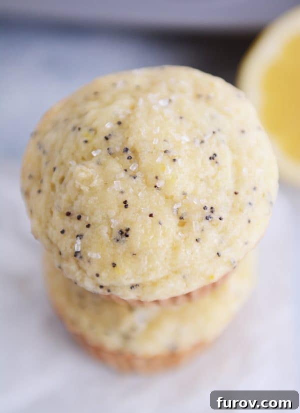 Divine Lemon Poppy Seed Muffins 4 Two lemon poppy seed muffins stacked on each other.
