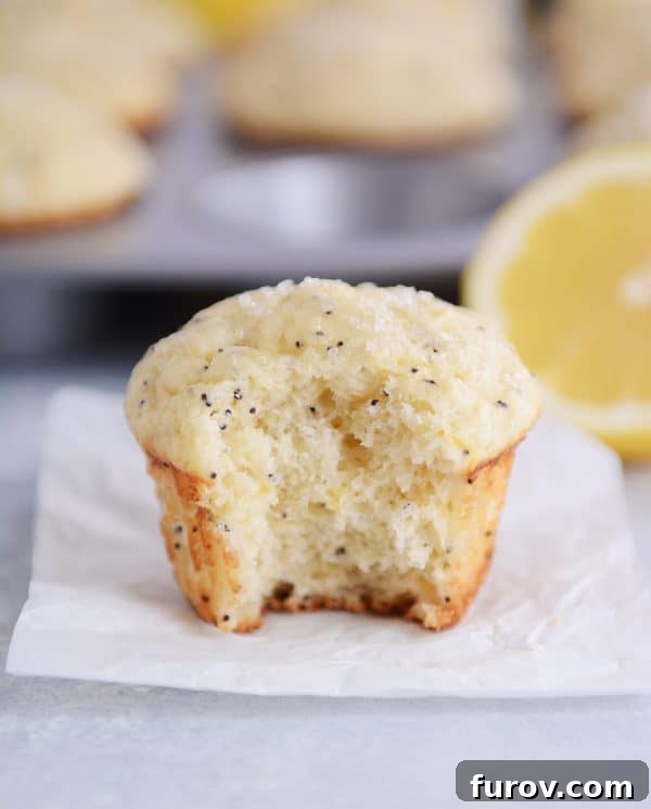 Divine Lemon Poppy Seed Muffins 5 A lemon poppy seed muffin with a bite taken out.