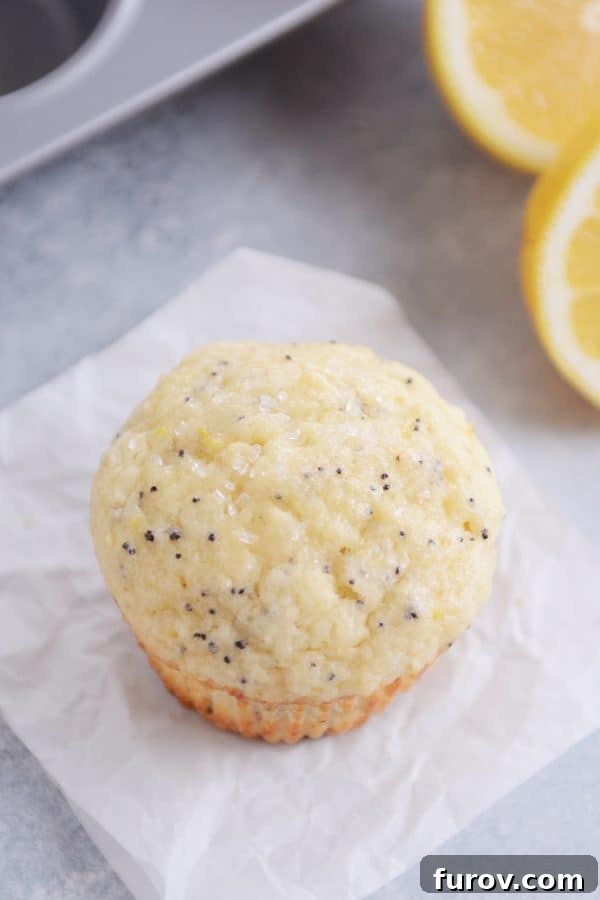 Divine Lemon Poppy Seed Muffins 6 a lemon poppy seed muffin on a piece of parchment