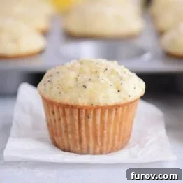 The Best Lemon Poppy Seed Muffins