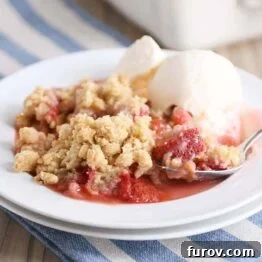 A plated serving of Strawberry Rhubarb Crumble with melting vanilla ice cream on top.