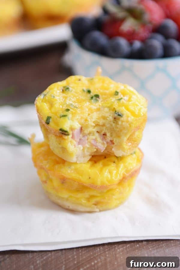 Savory Ham and Cheese Quiche Bites 2 Two mini quiche from the mini quiche recipe on white napkin